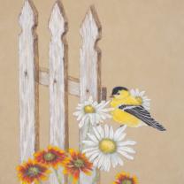 Goldfinch on Daisies